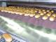 Load Fault Monitoring in Bakery Production