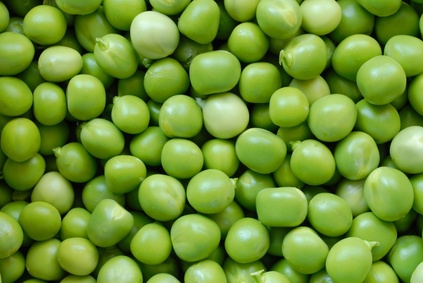 The peas were packed into equally weighed crates straight from the harvesting machine using the strain gauge load cell amplifier or signal conditioner.