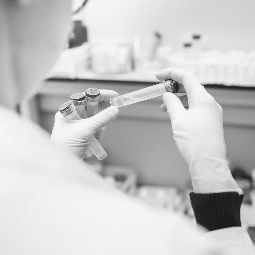 Image of scientist looking at test tubes to represent the Medical Industry