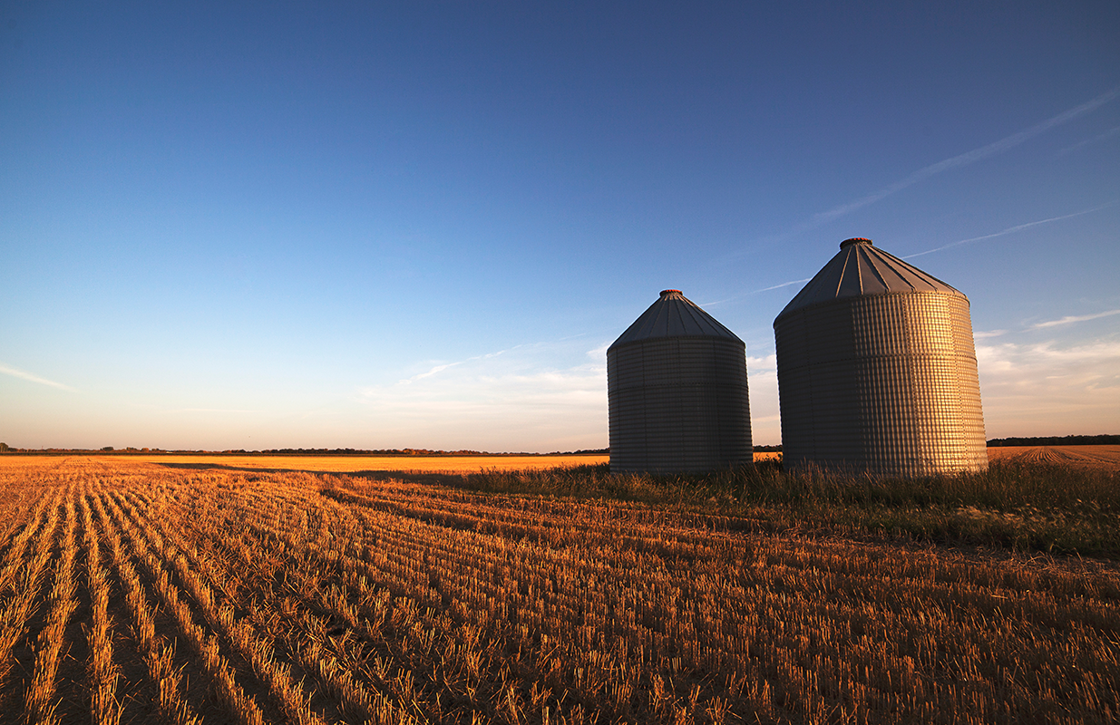 Image of silos in a cut field